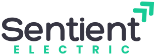 Sentient Electric